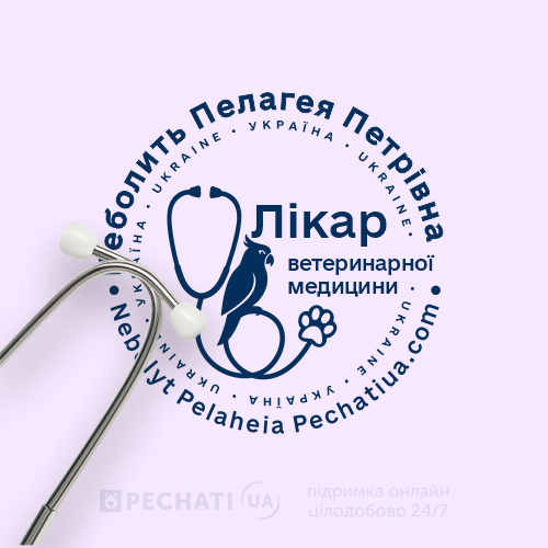 Авторські проєкти зразків печаток - замовити онлайн