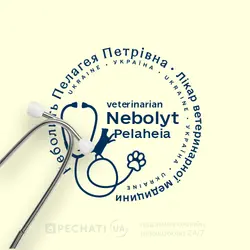 Заказать изготовление печати для врача-ветиринара